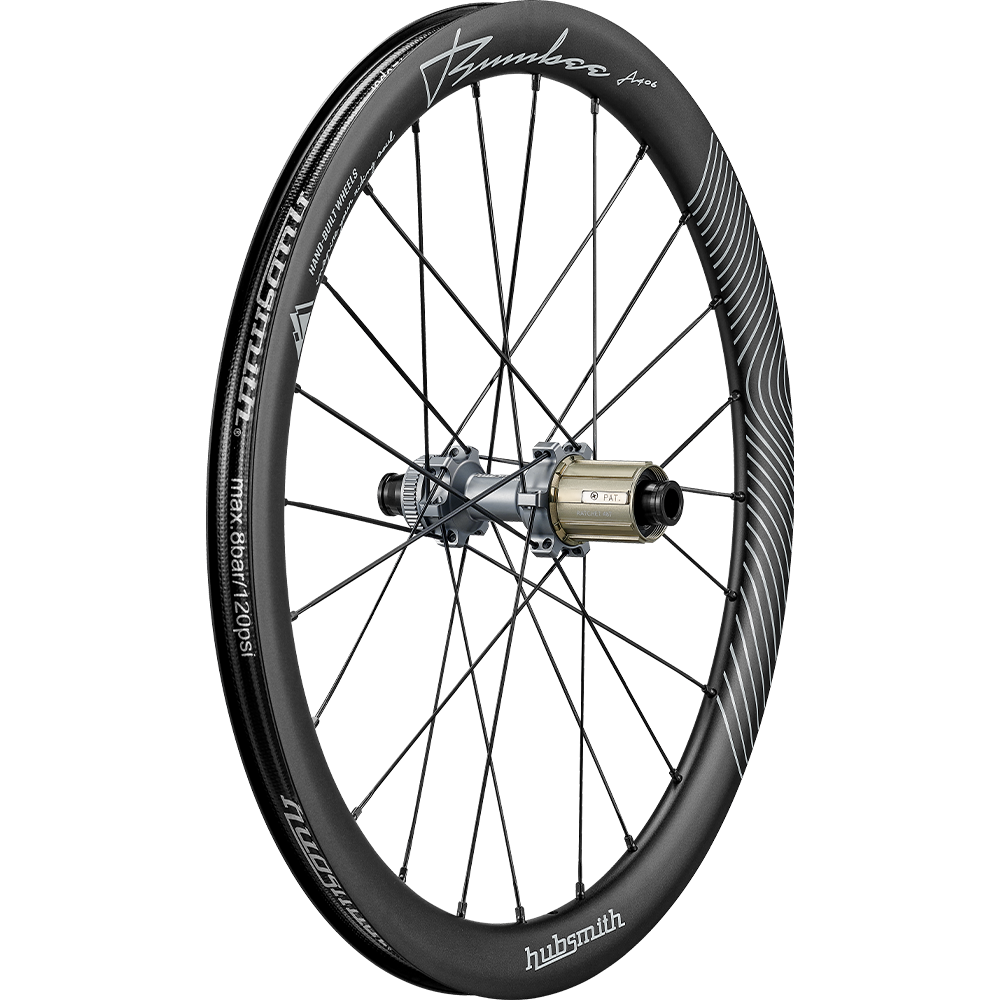 hubsmith（ハブスミス）HS-Bumbee A406 Ratchet 11SP BROMPTON G LINE用 11速 406 (20")ホイールセット