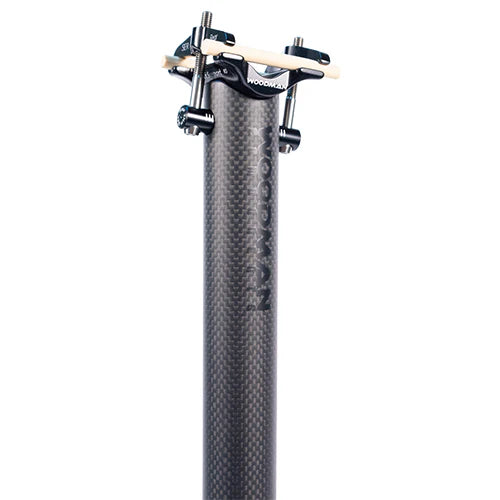 Carbo GT2 600mm 34.9 Birdy対応シートポスト